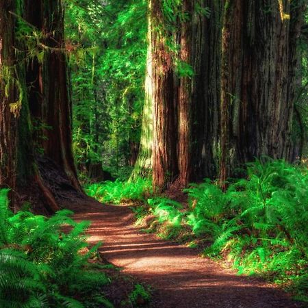 Cedar Mountain -Suite B Grants Pass Luaran gambar